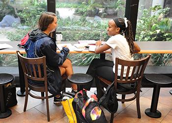 University of north florida application essay prompt