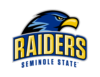 Sports team logo