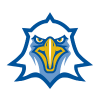 Sports team logo