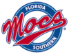 Sports team logo
