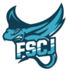 Sports team logo